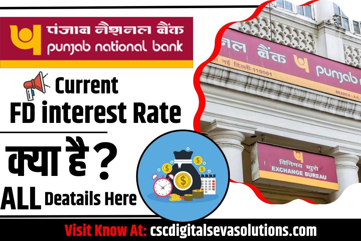 Current FD interest Rate 1